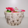 Maceta Rosa