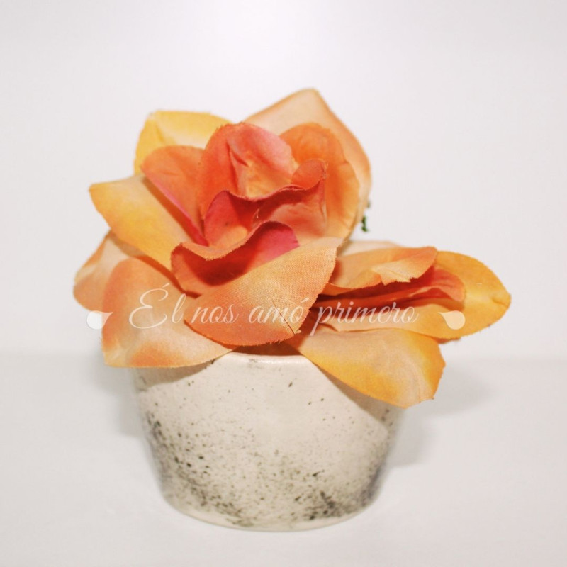 Maceta Naranja